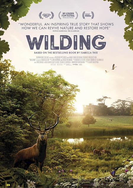 Wilding - PG