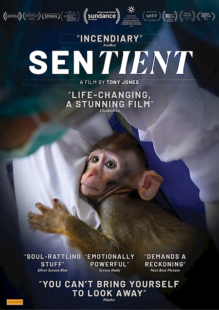 Sentient - CTC