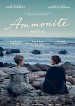 Ammonite